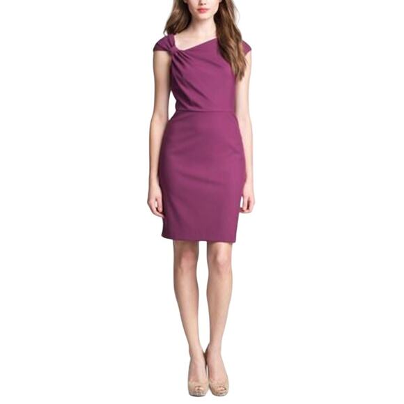Ivy & Blu Raspberry Purple Shift Dress Midi Dress Size 10P Formal Classic - Picture 1 of 7